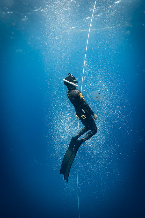 One Breath. Endless Potential. PADI Freediver with DXDIVERS.