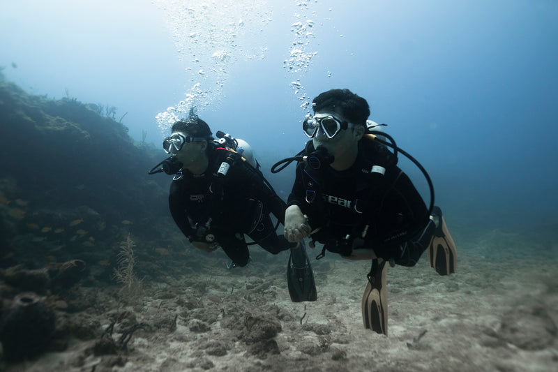 Introduction to PADI Open Water with DXDIVERS
