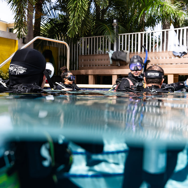In Depth Course Overview: PADI Instructor Development Course at DXDIVERS