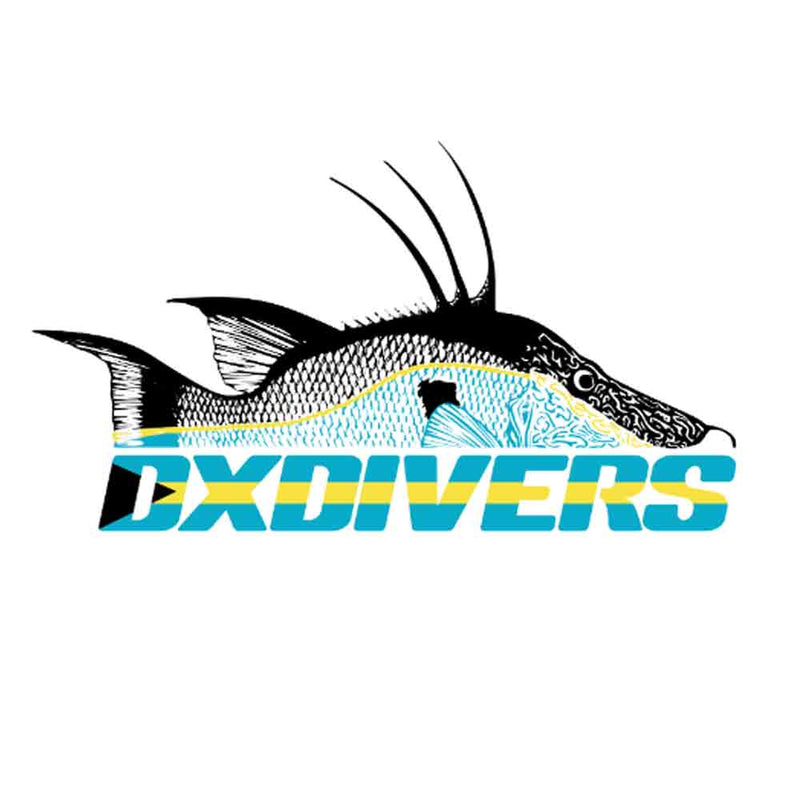 DXDivers Single Decal Sticker