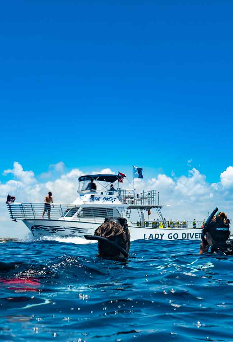 Dive & Stay Packages (Price Per Night)