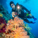 Sealife Cameras Reefmaster Rm-4K Pro Sea Dragon 2000F Underwater Camera & Light Combo