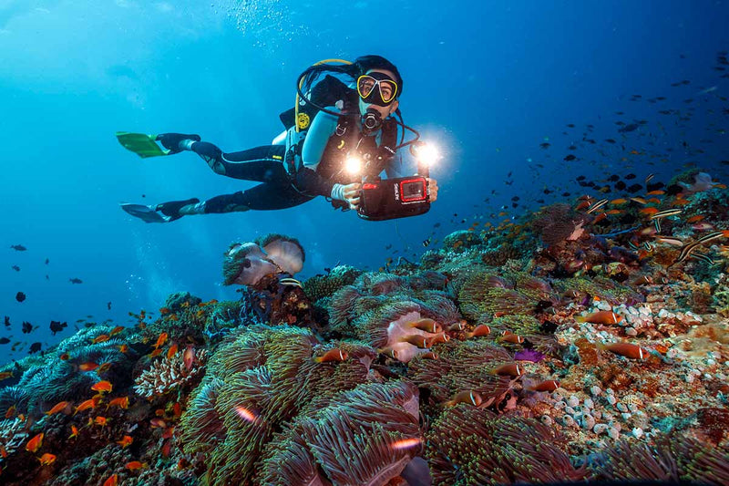 Sealife Cameras Sea Dragon Duo 6000 Color Boost Underwater Video and Photo Light Set