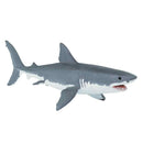 Safari Great White Shark