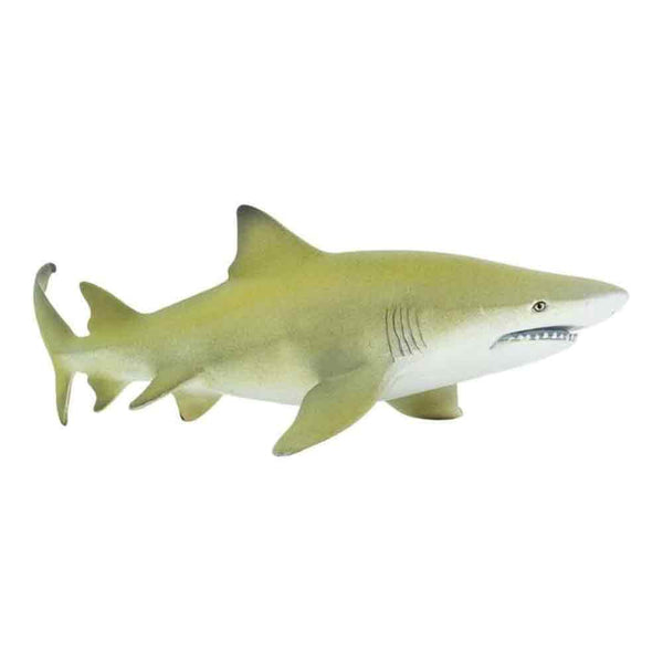 Safari Larry The Lemon Shark Toy