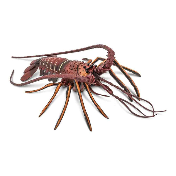 Safari Spiny Lobster