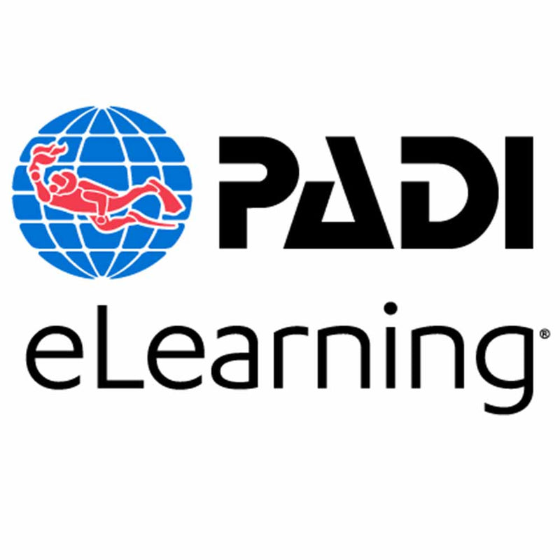 Padi scuba diving logo diver on a globe with elearning text under globe