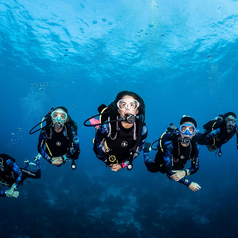 Padi Open Water Diver Course Near You