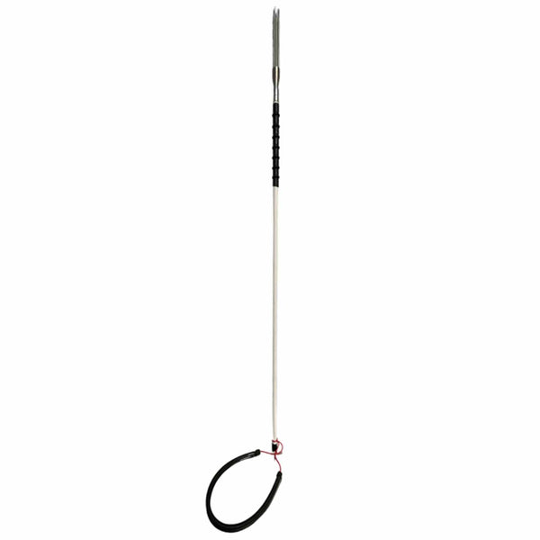 Hawaiian Sling Fishing Spear Set - 3 Piece Travel Fiberglass Pole Spear  Harpoon for Fishing with Stainless Steel Single Barb, Lionfish & Paralyzer  Tips - Also Includes Fishing Stringer & Travel Bag