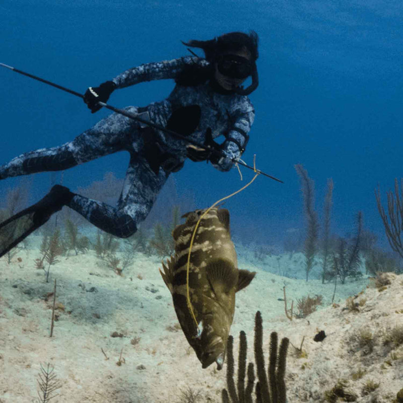 carbon fiber pole spear fishing Riffe Carbon Fiber Pole Spear