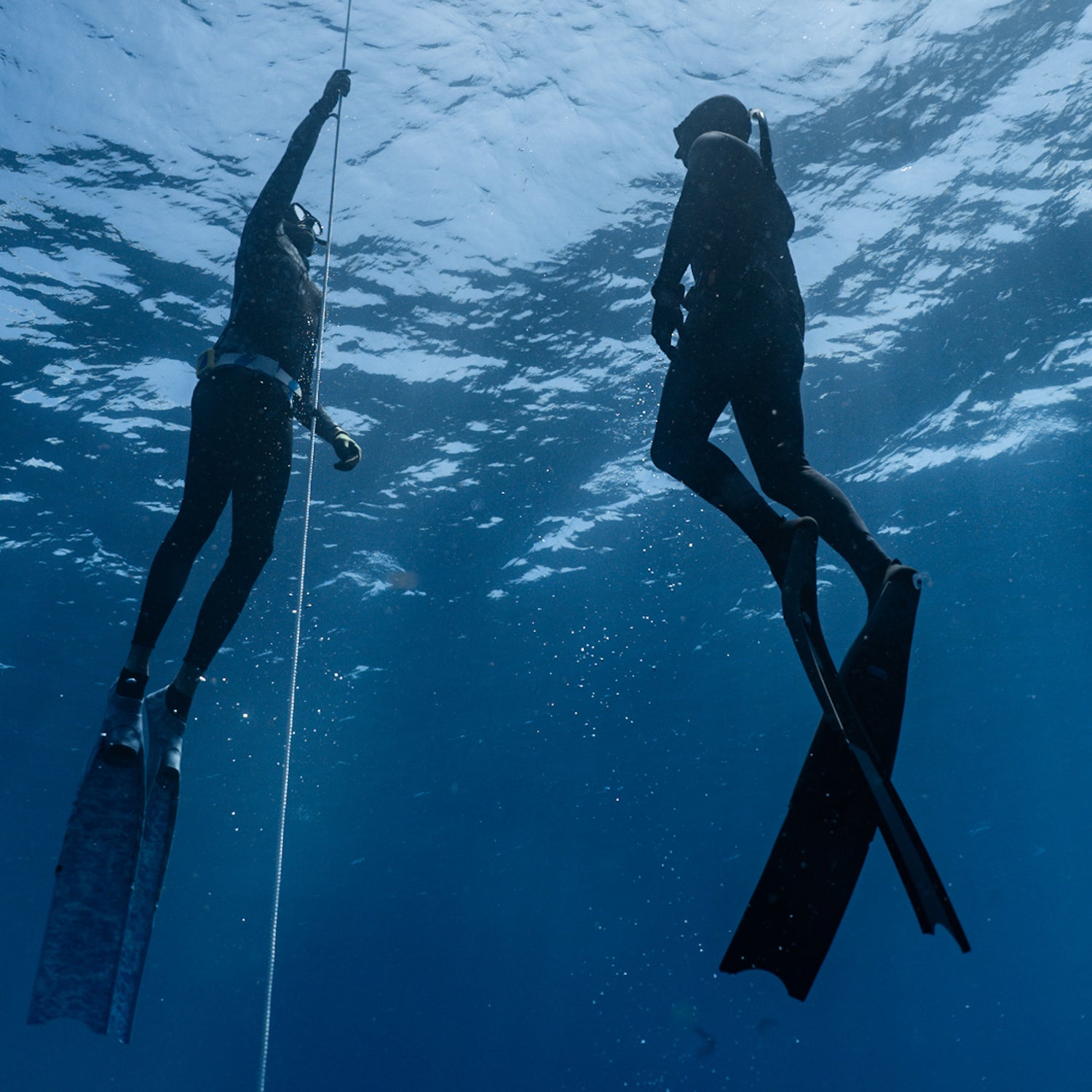 Padi Freediver Course Near You